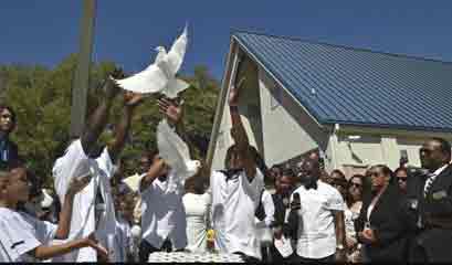 white dove release